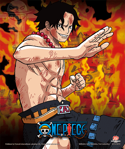 Pster 3D One Piece Brothers Burning Rage